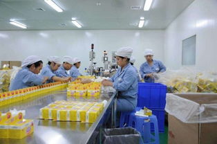 農(nóng)村小型加工廠項(xiàng)目有哪些